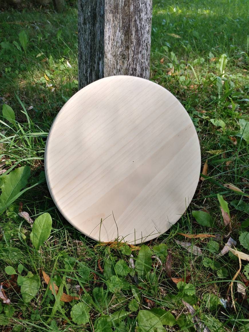 Youth Armory viking round shield