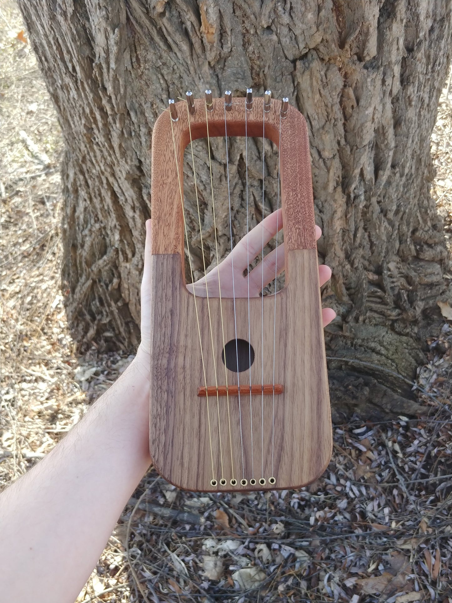 7 string anglo-saxon style lyre, mini in walnut and mahogany